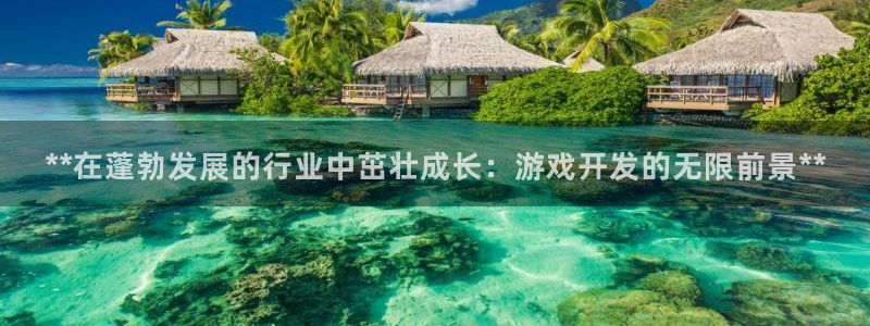 沐鸣2娱乐注册平台