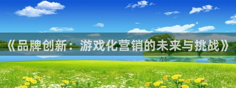 沐鸣娱乐2手机版：《品牌创新：游戏化营销的未来与挑战》