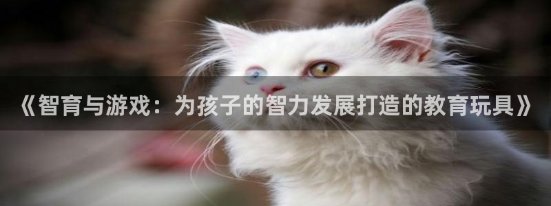 沐鸣2开户：《智育与游戏：为孩子的智力发展打造的教育玩具》