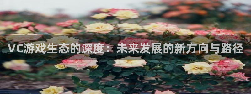 沐鸣平台由44262：VC游戏生态的深度：未来发展的新方向与路径