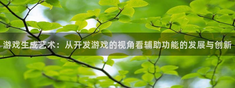 沐鸣2平台招商：游戏生成艺术：从开发游戏的视角看辅助功能的发展与创新