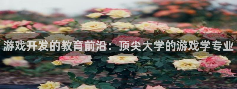 沐鸣2平台登录线路：游戏开发的教育前沿：顶尖大学的游戏学专业