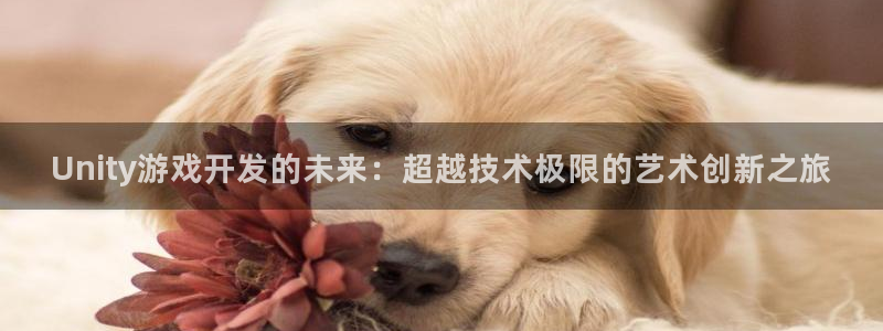 沐鸣2登录注册：Unity游戏开发的未来：超越技术极限的艺术创新之旅
