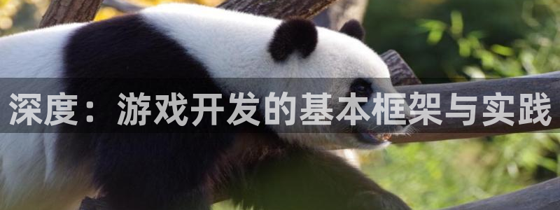 沐鸣代理22927：深度：游戏开发的基本框架与实践