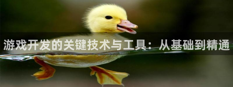 沐鸣娱乐2登录平台官网：游戏开发的关键技术与工具：从基础到精通