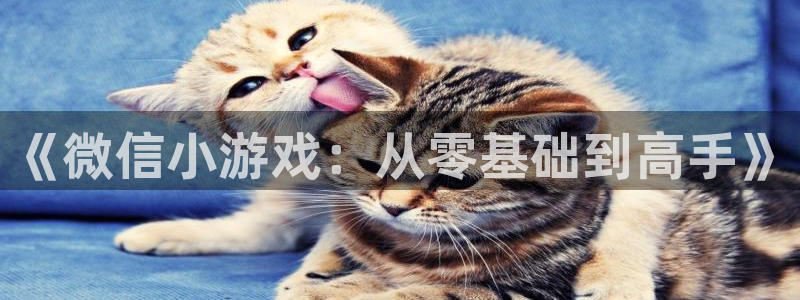沐鸣娱乐2游戏说明：《微信小游戏：从零基础到高手》