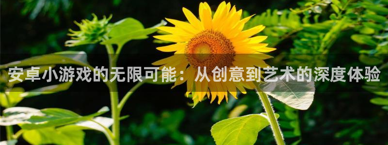 沐鸣娱乐2官方平台：安卓小游戏的无限可能：从创意到艺术的深度体验