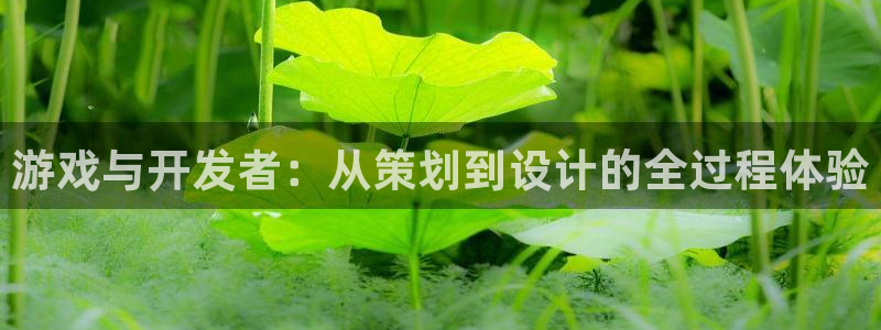 沐鸣娱乐2登录：游戏与开发者：从策划到设计的全过程体验