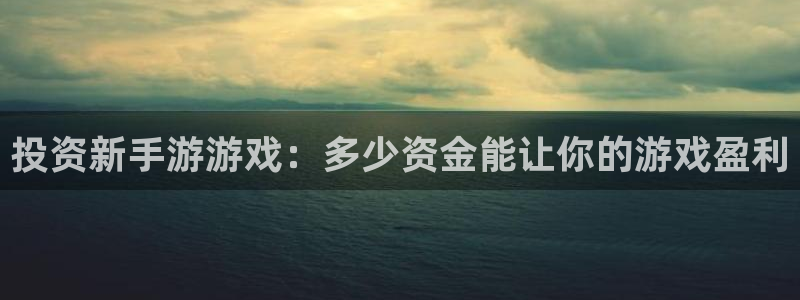 沐鸣2注册33300tg：投资新手游游戏：多少资金能让你的游戏盈利