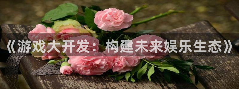 沐鸣2平台招商：《游戏大开发：构建未来娱乐生态》