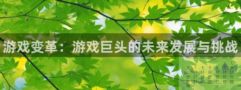 沐鸣娱乐2下载：游戏变革：游戏巨头的未来发展与挑战