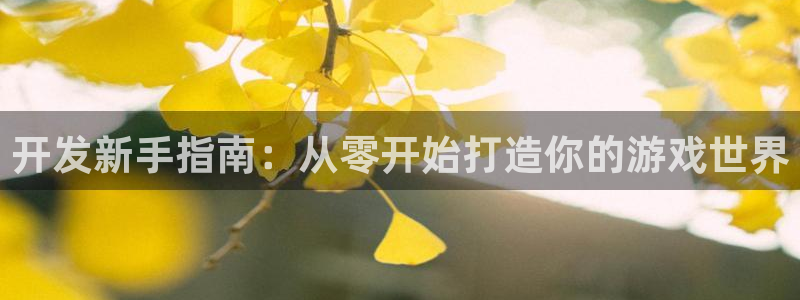 沐鸣娱乐2是正规平台么吗：开发新手指南：从零开始打造你的游戏世界