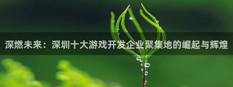 沐鸣2代理官网：深燃未来：深圳十大游戏开发企业聚集地的崛起与辉煌