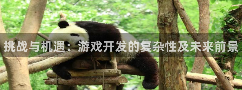 沐鸣娱乐2是正规平台么吗：挑战与机遇：游戏开发的复杂性及未来前景