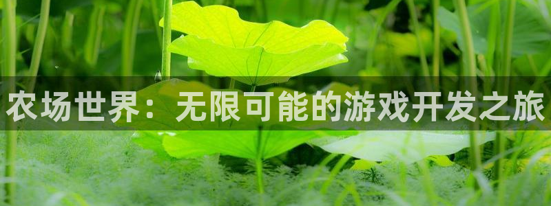 沐鸣娱乐2手机下载：农场世界：无限可能的游戏开发之旅