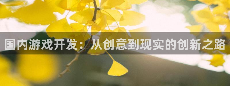 沐鸣2购35994胀：国内游戏开发：从创意到现实的创新之路