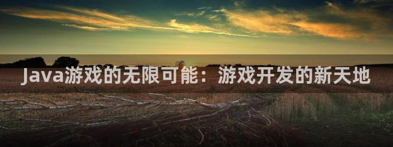 沐鸣2登录测速：Java游戏的无限可能：游戏开发的新天地