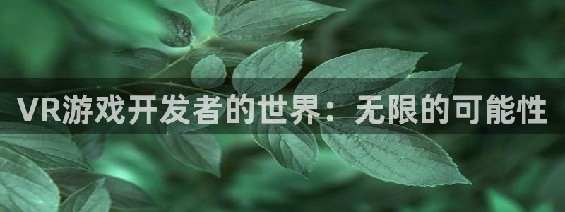 沐鸣2平台在线注册：VR游戏开发者的世界：无限的可能性