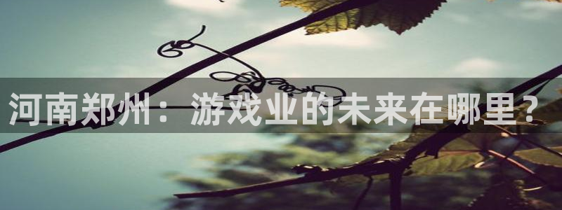 沐鸣娱乐2代理