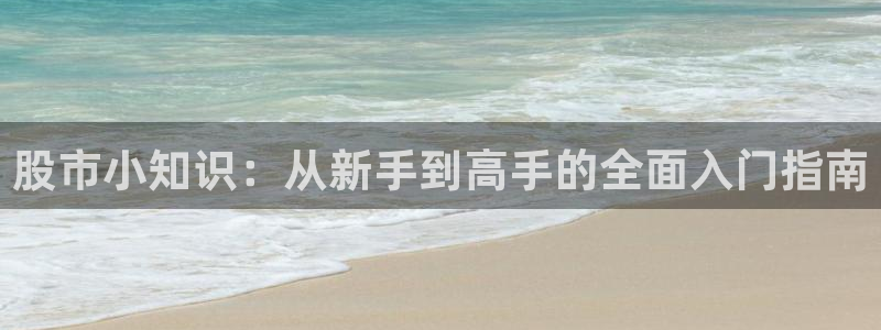 剑来txt下载八零电子书：股市小知识：从新手到高手的全面入门指南