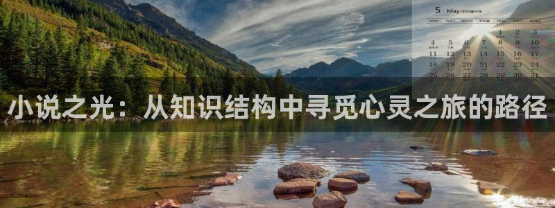 重生八零军嫂甜如蜜全文阅读：小说之光：从知识结构中寻觅心灵之旅的路径
