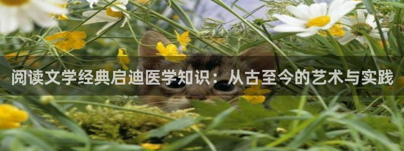 新宋txt全集下载八零：阅读文学经典启迪医学知识：从古至今的艺术与实践