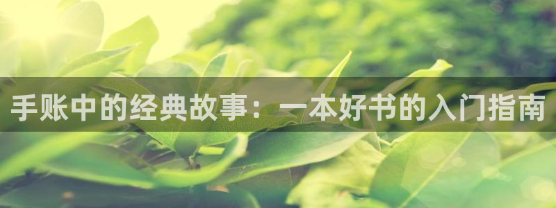 小说txt八零电子书：手账中的经典故事：一本好书的入门指南